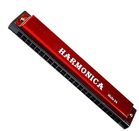 Professionelle Mundharmonika 24 Löcher C Key Tremolo Mundharmonika Anfänger Instrument Geschenke Mit Box (Color : 02)