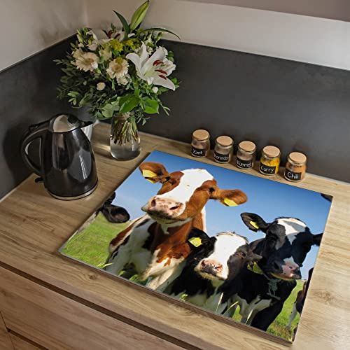 banjado Ceranfeld Abdeckung mit Tiermotiv für die Küche dezent aus Glas, einteilige Herdabdeckplatte 60x52 cm, Schneidebrett Glas und Spritzschutz Küche, rutschfest, mit Motiv Kühe