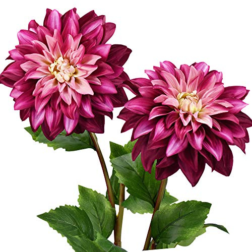 FiveSeasonStuff Artificial Flowers Dahlia Silk Flowers for Outdoors Indoors and Tall Vases 2 Stems (French Pink)