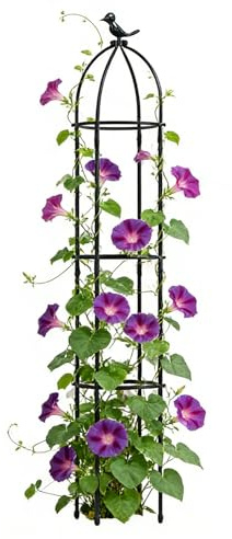 Enrejado para Macetas | Estructura Resistente a la Oxidación con Estacas de Soporte | Soporte para Plantas Trepadoras,para Uso en Interiores y Exteriores, Jardín, Patio, Tomates, Rosas,