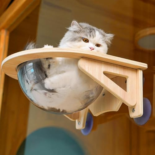 Cat Window Perch, Acrylic Cat Hammock with Suction Cups, Load Bearing for Large Cats, Ideal for Sunny Sitting and Sun Bathing
