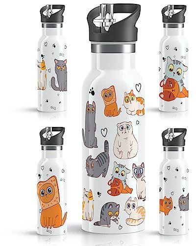 OWLBOOK® Edelstahl Trinkflasche Kinder | Wasserflasche mit Strohhalm | 600 ml | Sportdeckel | Spülmaschinenfest | Schule | Schulanfang Geschenke zur Einschulung Junge Mädchen | Katzen Bande