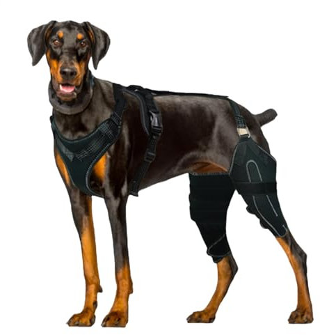 Pavsicgn Kniebandage für das Hinterbein von Hunden,Hinterbeinbandage für Hunde | Verstellbare Hinterbeinstütze für Hunde,Canine Care CCL-Stützbandage, Hunde-Hinterbeinbandage für Hunde mit gerissenem
