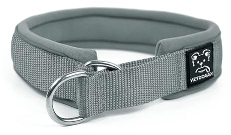 Weich Neopren Gepolstert Hundehalsband (4cm Breite) Reflektierend Hund Halsband mit Robust Nylon & Zugstopp, Bequem Zughalsband Dressurhalsband für Kleine Mittlere Große Hunde Anti-Zug Walken L,Grau