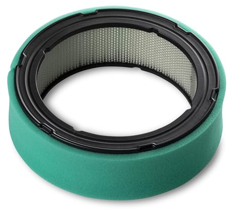 MAXPOWER Filtro e prefiltro dell'Aria Adatto per Briggs&Stratton - Numero di Riferimento 392642, 394018, 394018S