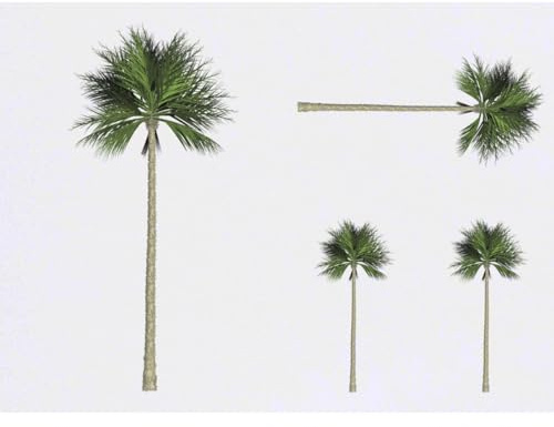 Azeeda 4 x 'Palm Tree' Temporary Tattoos (TO00064532) | Mixed-Size Water Resistant Skin Safe Transfers for Parties and Costumes