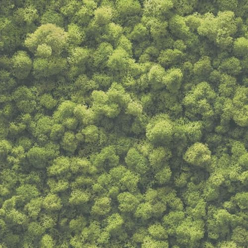 Naturtapet Profhome 394051-GU varm präglad fibertapet något strukturerad med blommiga ornament matt grön mossgrön 5,33 m2