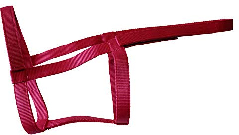 Rhinegold 0 Field Safe Headcollar-Extra Full-Raspberry Halfter, Himbeere, Kaltblut/Warmblut extragroß
