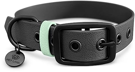 Outdoor Halsband Sport, zweifarbig, wasserfest, robust, für kleine bis sehr große Hunde, sportlich & stylisch, Made in Germany (Größe L: 43–55 cm)
