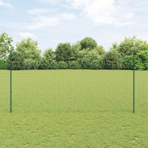 zylophax Recinzione in acciaio verde con pali, a doppia asta, verniciata a polvere, 1000 x 150 cm, resistente alle intemperie, per giardino, terrazza, terreno, con accessori di montaggio inclusi