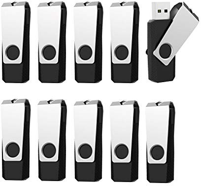 USB Sticks 1GB 10 Stück RAOYI USB-Stick 1GB 2.0 LED-Anzeige Schwarz | Speicherstick 1GB, Flash Laufwerk Schwenken mit Metalldeckel, für Computer-Nähmaschine, Laptop,PC,TV,Autoradio