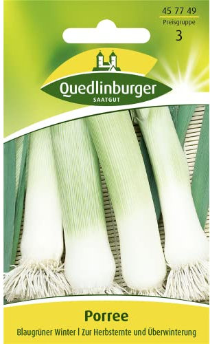Porree, Blaugrüner Winter Quedlinburger Saatgut Samen 457749