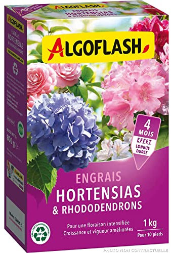 ALGOFLASH Engrais Hortensias et Rhododendrons, Longue Durée, 1 kg, HORTO1N