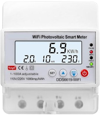 RWRAPS Compteur d'énergie Compteur d'énergie monophasé AC 220V 110V 100A, contrôle WI-FI, Compteur de kWh, consommation d'électricité analogique, wattmètre Domestique