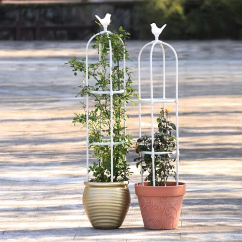 Generisch Rosen Rankhilfe Obelisk Garten Spalier Für Kletterpflanzen Metal Garten Rose Rankgitter Kirschtomate Plant Support Jasmin Clematis Für Eingangstür Im Freien(Weiß,40x85cm)