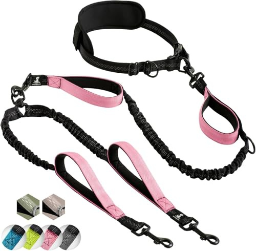 Laisse mains libre pour 2 chiens grande et moyenne taille – laisse anti-traction avec coutures réfléchissantes pour chien - accessoire chien pour le jogging, la marche à pied, la randonnée, l’escalade