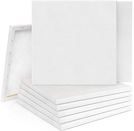 Supernic 10PCS 20x20cm Blank Artist Canvas Art Board Plain Painting Stretched Framed for Painting Enthusiast