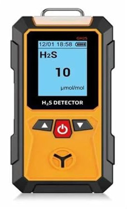 YXZKJZJ Détecteur de gaz Oxygène/O2/Carbone/Monoxyde/CO/H2S Analyseur de gaz Combustible Détecteur de Fuite Moniteur de qualité de l'air Lecture en Temps réel(GH2S)