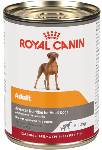 Royal Canin Canine Health Nutrition Adult In Gel Dog Food, 13.5 oz (Pack of 12)