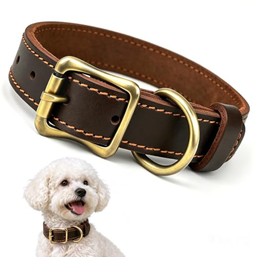 Qianruida Robusto Collar De Perro De Cuero Acolchado Grueso De Cuero Genuino para Ajustable Suave Cojín De Cuero Genuino Pequeños Perros Medianos O Grandes - S