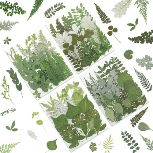 Glamoreal 81Pcs Set of Dried Pressed Flowers and Leaves, Natural Earthy Green Leaves, Ferns and Eucalyptus for Resin Projects, Scrapbooking, Includes Tweezers