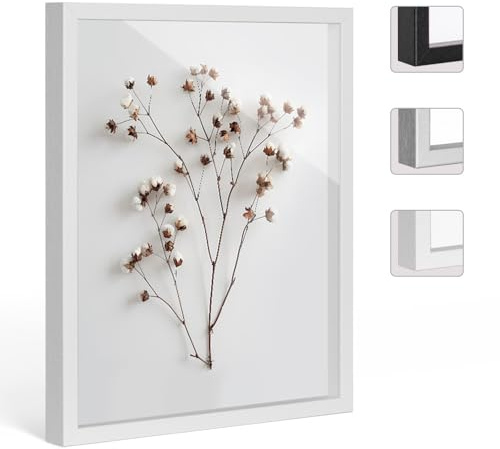 Bildershop-24 Objektrahmen FrameBox VARIO36 Weiß (matt) 100x100cm zum Einrahmen von Trikots, Blumen, Passepartouts etc.
