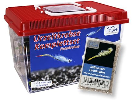 PREMIUM Feenkrebse Komplett-Set: mit ca. 2000 Urzeitkrebs Eier, 6 l Becken, LED-Beleuchtung, Luftpumpe, Filter, Kescher, Heizung, Zubehör, Zuchtansatz, Futter, Anleitung, Branchinella thailandensis