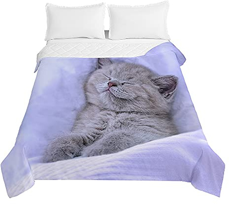 Surwin Trapuntino Copriletto Trapuntato Primaverile Estivo, Stile Moderno, Trapuntino in Morbida Microfibra Stampa Gatto 3D Leggero Coperta Letto Singolo Matrimoniale (Dormi Bene,180x220cm)