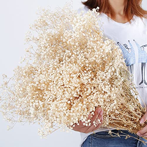 OUKEYI 17 Inch Dried Flowers Baby's Breath Bouquet - 2000+ Ivory White Dry Flowers,Natural Gypsophila Branches for Home Decor, Wedding, Table Decor, DIY Wreath Floral, Dry Flowers Bulk for Vase