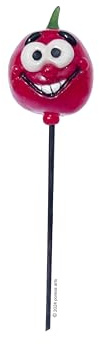 Grosella roja Marcadore de huerto para etiquetar plántulas/plantas, resistentes a la intemperie y divertidos. Regalo para jardineros. Etiquetas/letreros