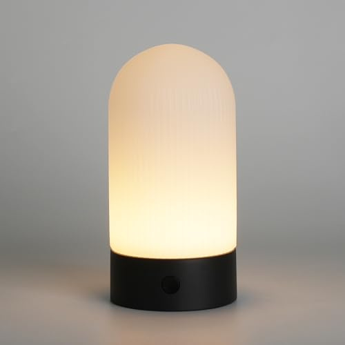WEILAILUX Battery Operated Shower Lamp Waterproof, Small Portable Cordless Table Lamp Rechargeable, Touch Dimmable Mood Light for Home/Patio/Dining/Outdoor (Black)