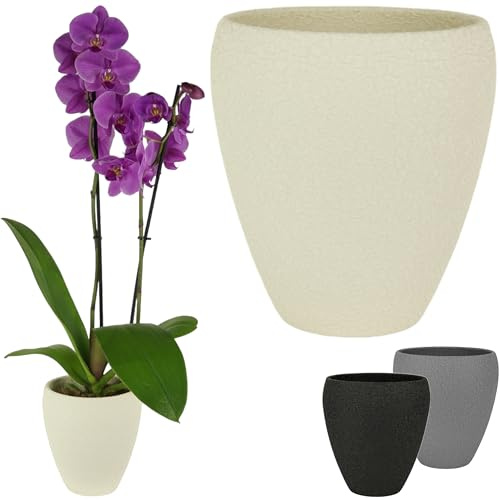 Spang Luna Orchideentopf Orchideen Übertopf Blumentopf Topf ○ Made in Germany (1er Set, Creme)