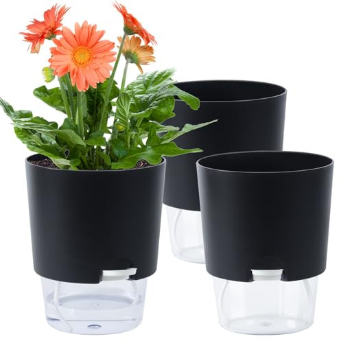 Oliz Macetas de interior, 3 paquetes de macetas de riego automático para plantas de interior de 6.2 pulgadas, macetas de color violeta africano con depósito visible, maceta de autorriego para hierbas,