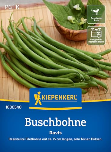 Kiepenkerl Buschbohnensamen Davis 1000540, Gemüsesaat | Wuchshöhe 50 cm, kompakt, fadenlos