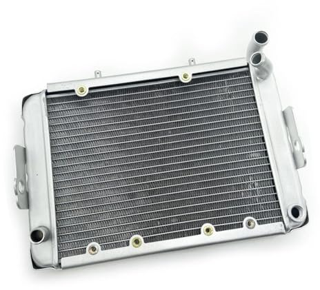 Macchina di raffreddamento del radiatore dell'acqua adatta for LINHAI 300 ATV Linhai LH300 CUV 4WD