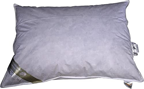 Betten Hofmann Kopfkissen 60x80 cm, 650g Füllung, 100% Daunen, Daunenkissen, Kissen prall, dick, flauschig, Naturprodukt, waschbar
