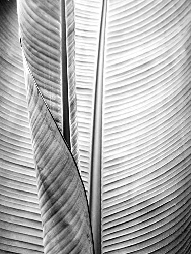 Feeling at home LEINWANDDRUCK im SCHATTENFUGENRAHMEN BW-Anlage aus Metall 1 Allen Kimberly - Fotografie vertikale Kunstbilder im Holzrahmen cm_73_X_54