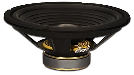 Goldwood Sound GW-210/8 - Altoparlante di ricambio per woofer da 10, 220 W, 8 ohm, colore: nero