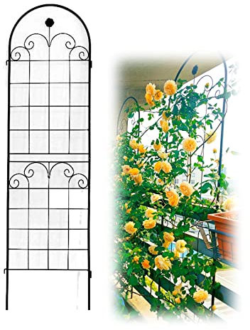 CGCSYZ Garden Trellis Potted Support Grid Panels for Climbing Plants for Lawn, Garden, Backyard,Arched Outdoor Decoration,Metal Vine Trellises Garden Edging Border Flower Bed (Black-220cm