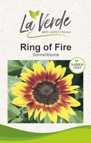 Graines de tournesol Ring of Fire