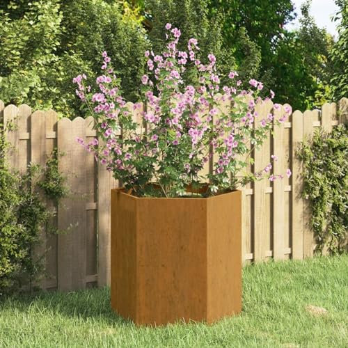 Camerina Pflanzkübel Rostig 40x40x45 cm Cortenstahl PflanzküBel Hoch Bonsai Schale Groß