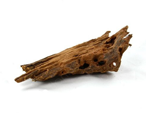 Mangrove Root for Aquariums and Terrariums 12 - 15 cm
