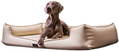 tierlando® Orthopädisches Hundebett Goofy Easy Clean aus Kunstleder mit Matratzenschoner, für mittelgroße und große Hunde Größe: 130x100cm Farbe: 05 Creme