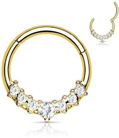 Stachelkleid Ring 7 Zirkonia Clicker Nasenringe Septum Ohrpiercing Helix Knorpel Piercing Schmuck