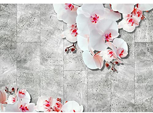 Runa Art Papel tapiz fotográfico Flores de la orquídea de la pared de piedra Moderna Lana Sala Cuarto Salón - Made in Germany - gris rojo 9460010c