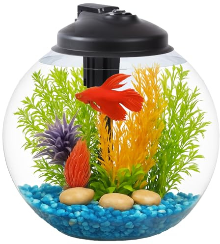 SW PRODUCTS 3-Gallon Fish Tank, Aquarium Starter Kit Includes Power Filter, LED Light with 5V Power Supply, and Full Hood, Ideal for Betta and a Variety of Tropical Fish, Impact-Resistant Plastic