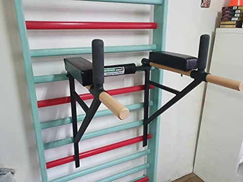 ARTIMEX Klimmzug Dip Ständer für Sprossenwand - Wird in Heimen, Fitnessstudios oder Fitnesscentern für Training und Fitness verwendet, Artikelnr. 270