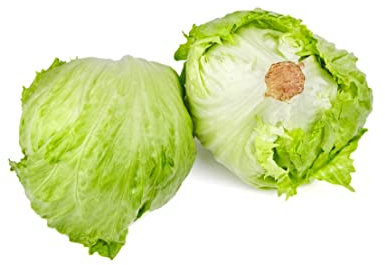 Eissalat Samen Barcelona Salat Gemüse Saatgut Garten Hochbeet Lausfrei Salatsamen ca 150 Korn AlexLand