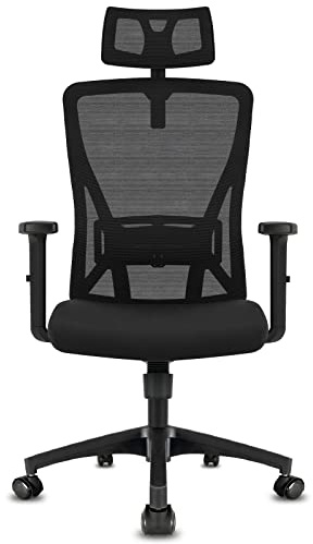 Hoolamyie Bürostuhl ergonomisch, Schreibtischstuhl mit Kopfstütze, Lordosenstütze und höhenverstellbaren Armlehnen, Drehstuhl mit 90°-130° Wippfunktion (Schwarz)