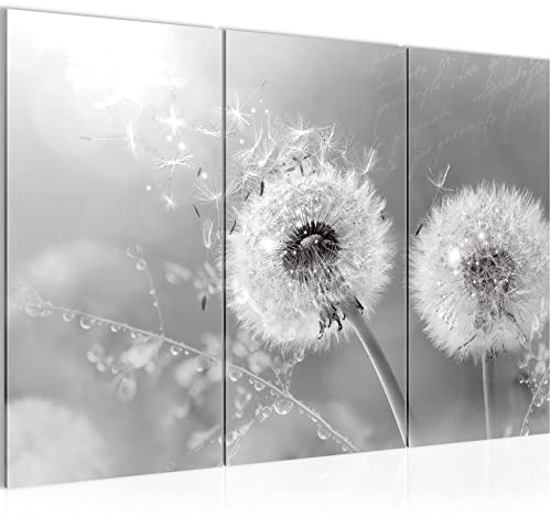 Runa Art Wandbilder Pusteblume Bild XXL Wohnzimmer Schlafzimmer Schwarz Weiss Natur 120 x 80 cm 3 Teilig 023631c